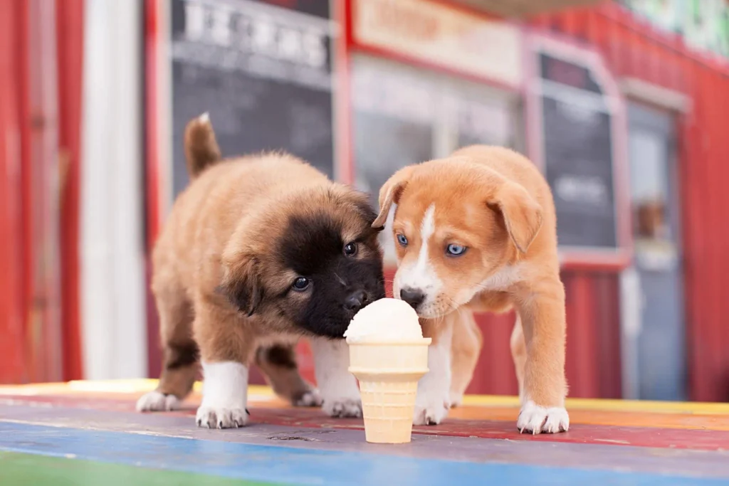 Can Dogs Eat Strawberry Ice cream