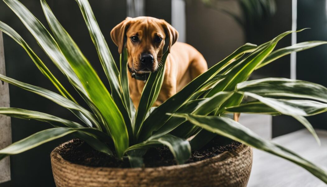 snake plants toxic to dogs